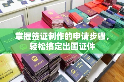 西峰掌握签证制作的申请步骤，轻松搞定出国证件